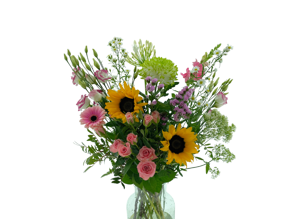 Срезанные цветы оптом Bouquet field jacky от 3шт из Голландии с доставкой по России