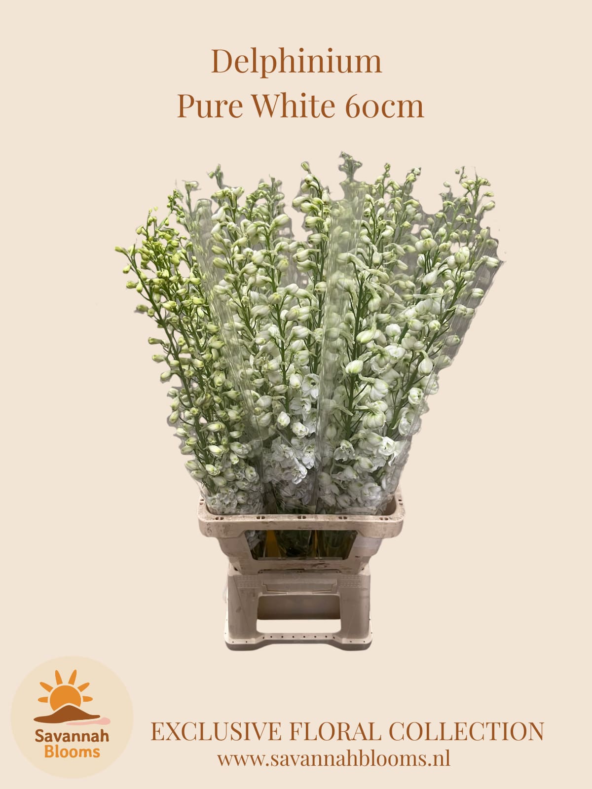 Срезанные цветы оптом Delphinium el magic fountains white от 25шт из Голландии с доставкой по России