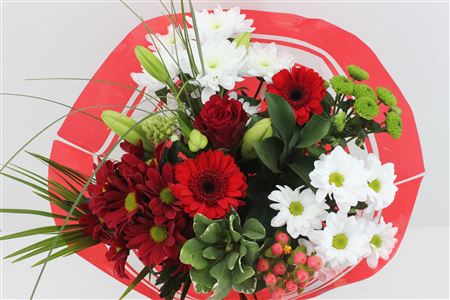 Срезанные цветы оптом Bouquet supra red от 5шт из Голландии с доставкой по России
