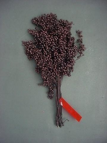 Срезанные цветы оптом Pepperberries per bunch in poly black от 5шт из Голландии с доставкой по России