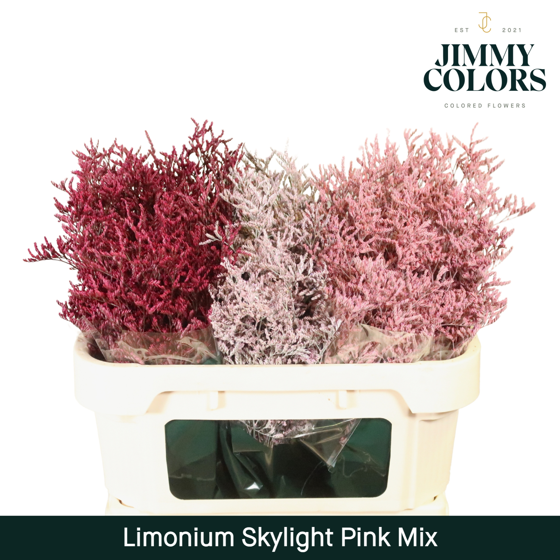 Срезанные цветы оптом Limonium paint mix pink от 75шт из Голландии с доставкой по России