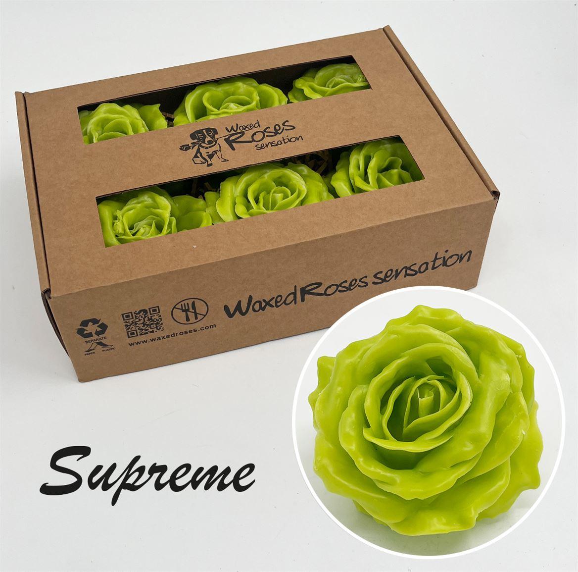 Срезанные цветы оптом Rosa large silk wax green olive от 6шт из Голландии с доставкой по России