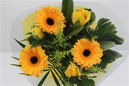 Срезанные цветы оптом Bouquet lisa yellow от 10шт из Голландии с доставкой по России