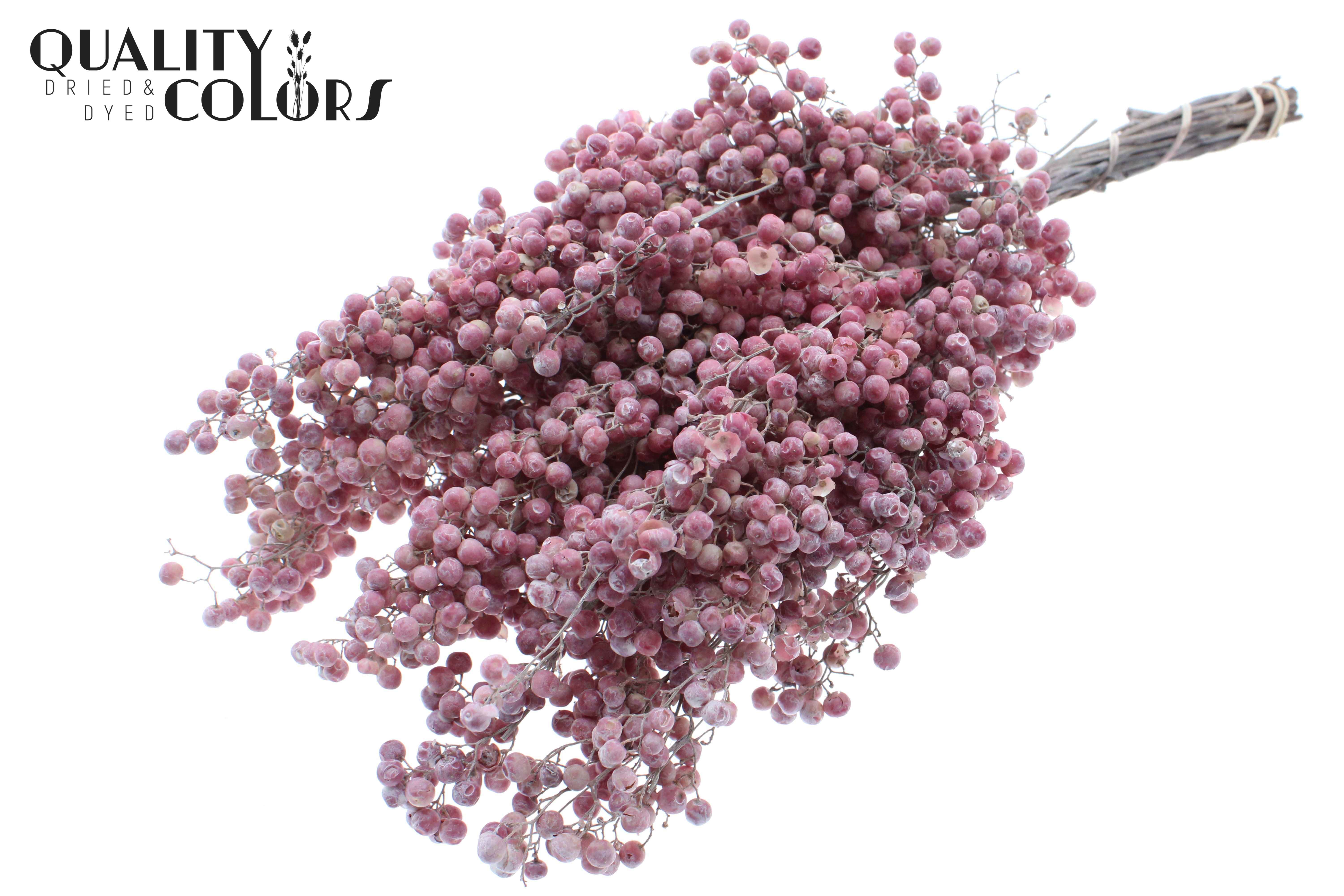 Срезанные цветы оптом Pepperberries per bunch in poly frosted white от 5шт из Голландии с доставкой по России