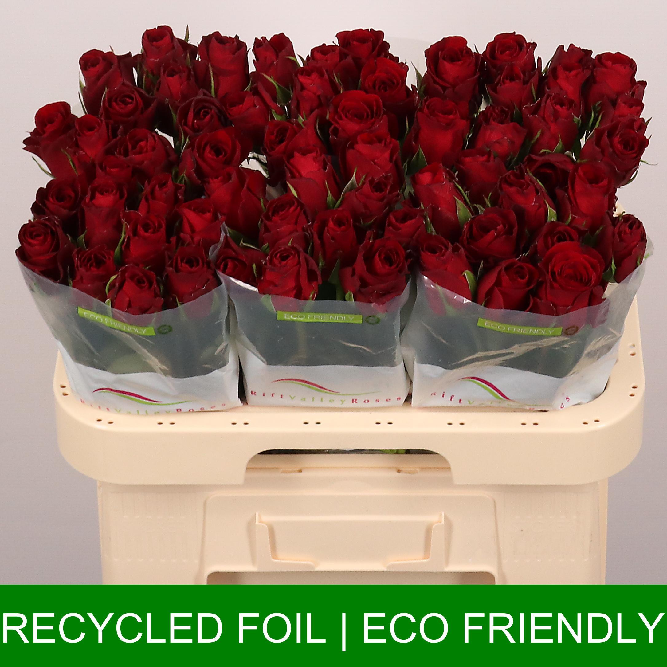 Срезанные цветы оптом Rosa large red promise от 60шт из Голландии с доставкой по России