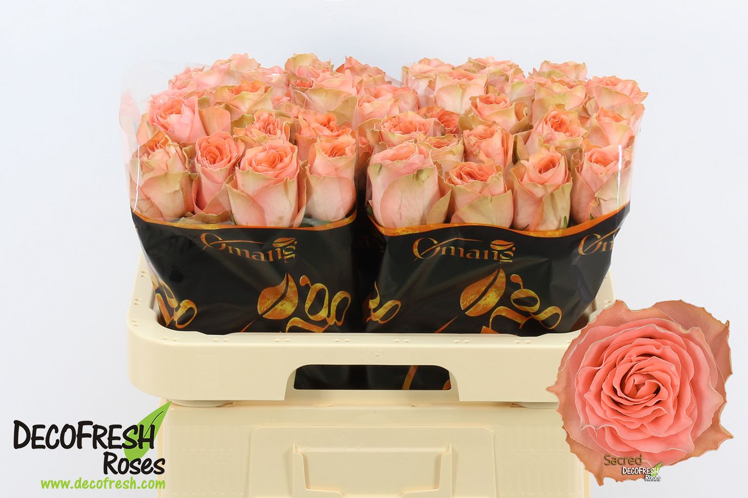 Срезанные цветы оптом Rosa large sacred от 50шт из Голландии с доставкой по России