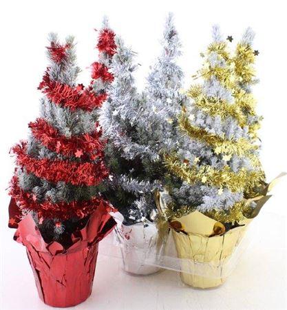 Горшечные цветы и растения оптом Picea Gl Perfecta от 6шт из Голландии с доставкой по России