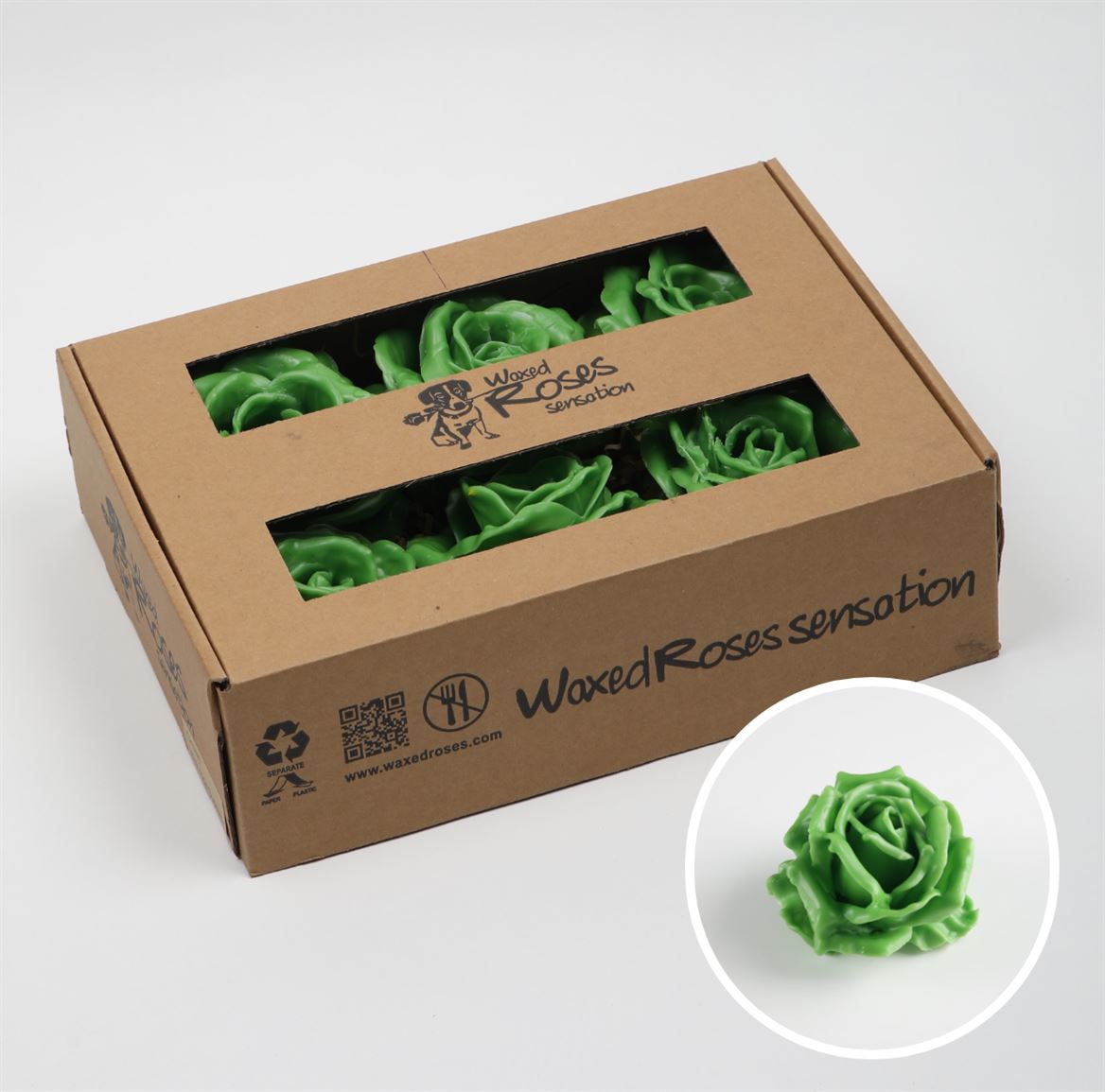 Срезанные цветы оптом Rosa large silk wax green от 6шт из Голландии с доставкой по России