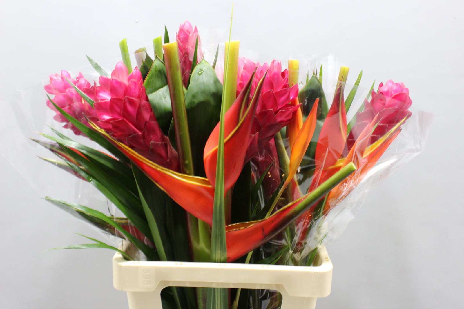 Срезанные цветы оптом Heliconia bq zaire от 5шт из Голландии с доставкой по России