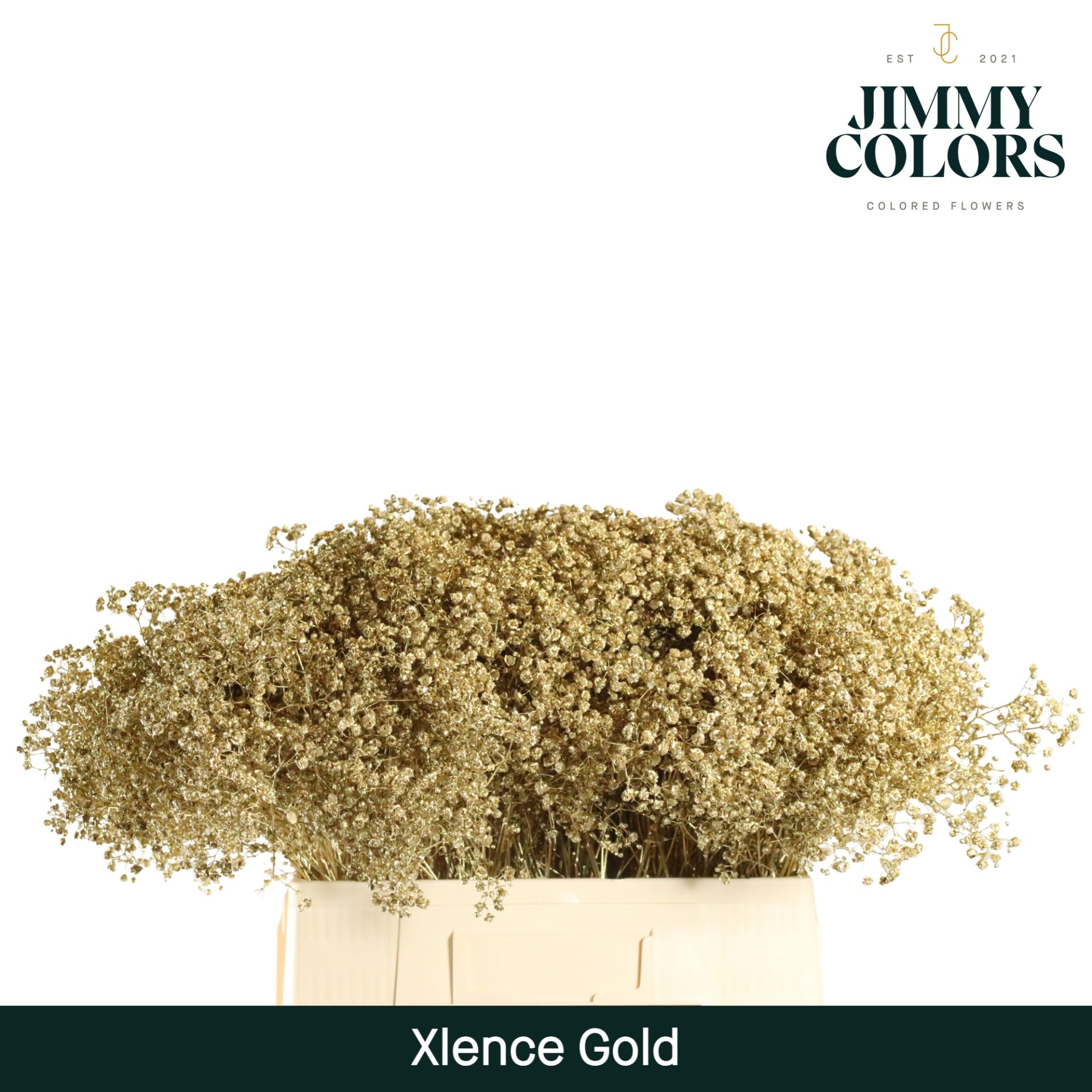 Срезанные цветы оптом Gyps large paint gold от 100шт из Голландии с доставкой по России