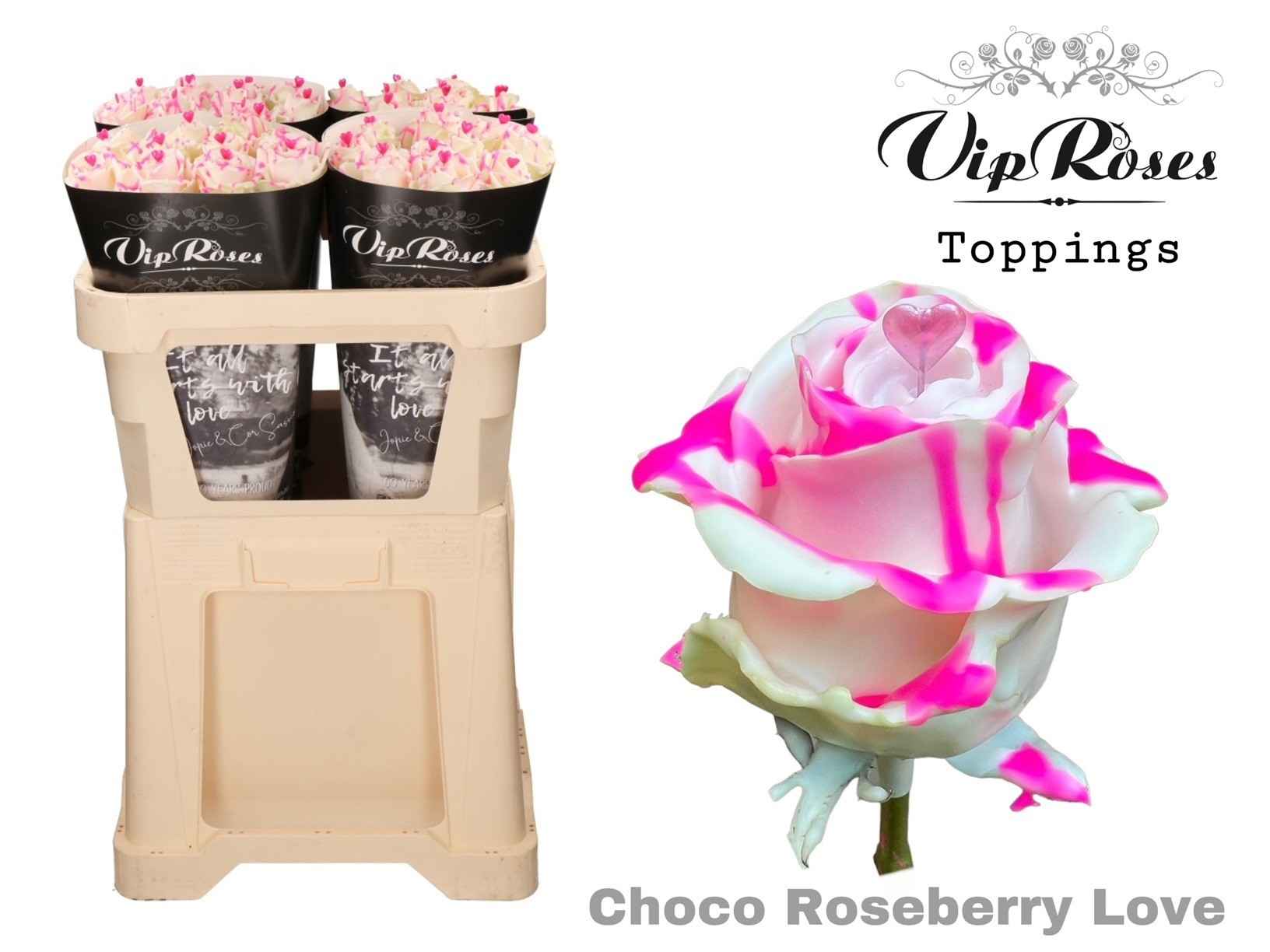 Срезанные цветы оптом Rosa la paint choco roseberry love от 20шт из Голландии с доставкой по России