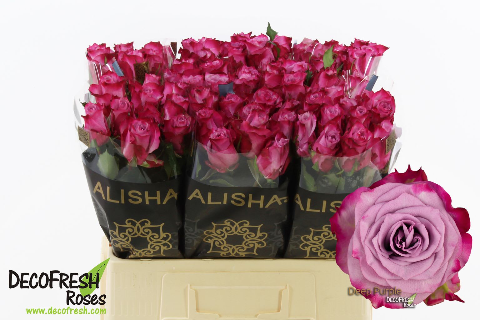 Срезанные цветы оптом Rosa large deep purple от 80шт. из Голландии с доставкой по России