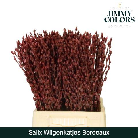 Срезанные цветы оптом Salix paint pussy willow bordeaux от 50шт из Голландии с доставкой по России