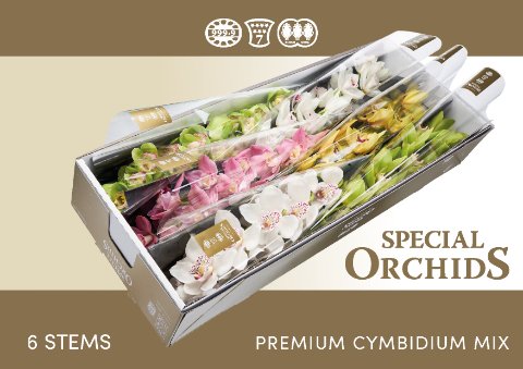 Срезанные цветы оптом Cymbidium mix от 6шт.... из Голландии с доставкой по России