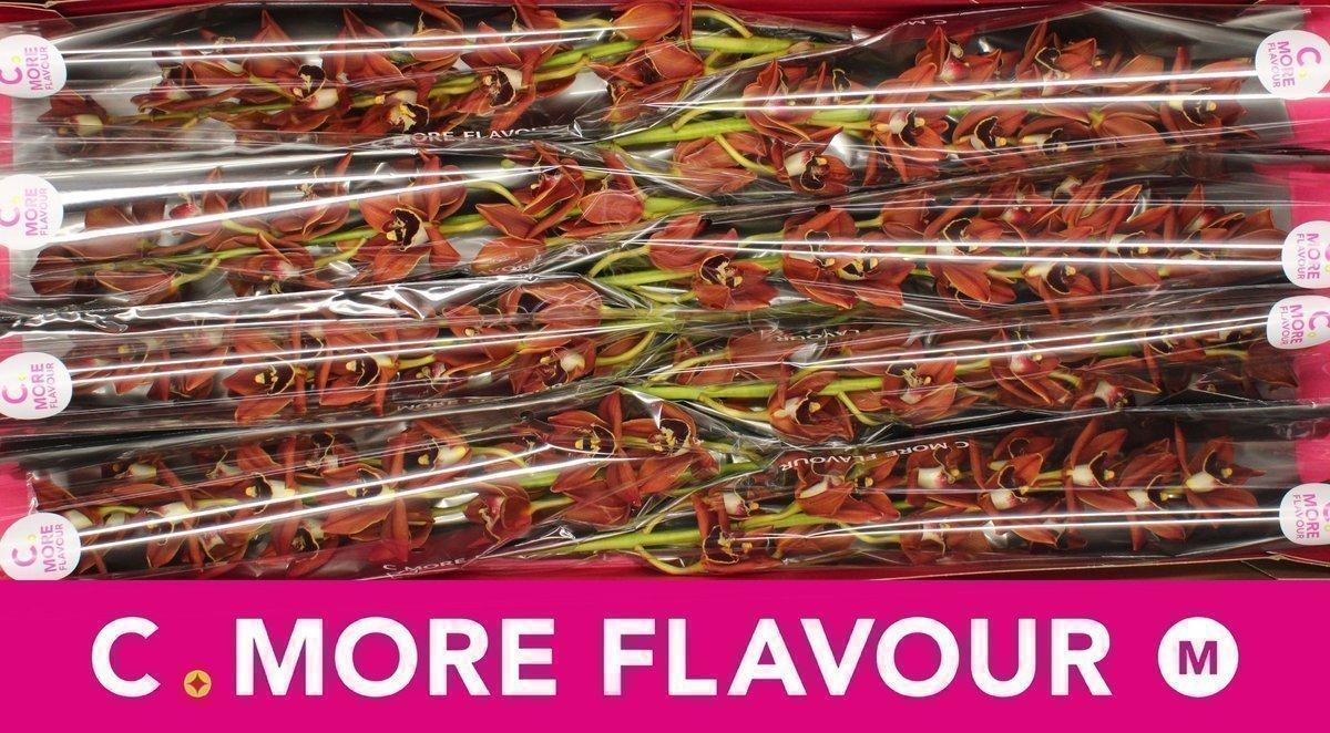 Срезанные цветы оптом Minicymbidium tangerine mary brownie от 8шт из Голландии с доставкой по России