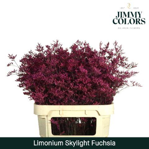 Срезанные цветы оптом Limonium paint erica от 75шт из Голландии с доставкой по России