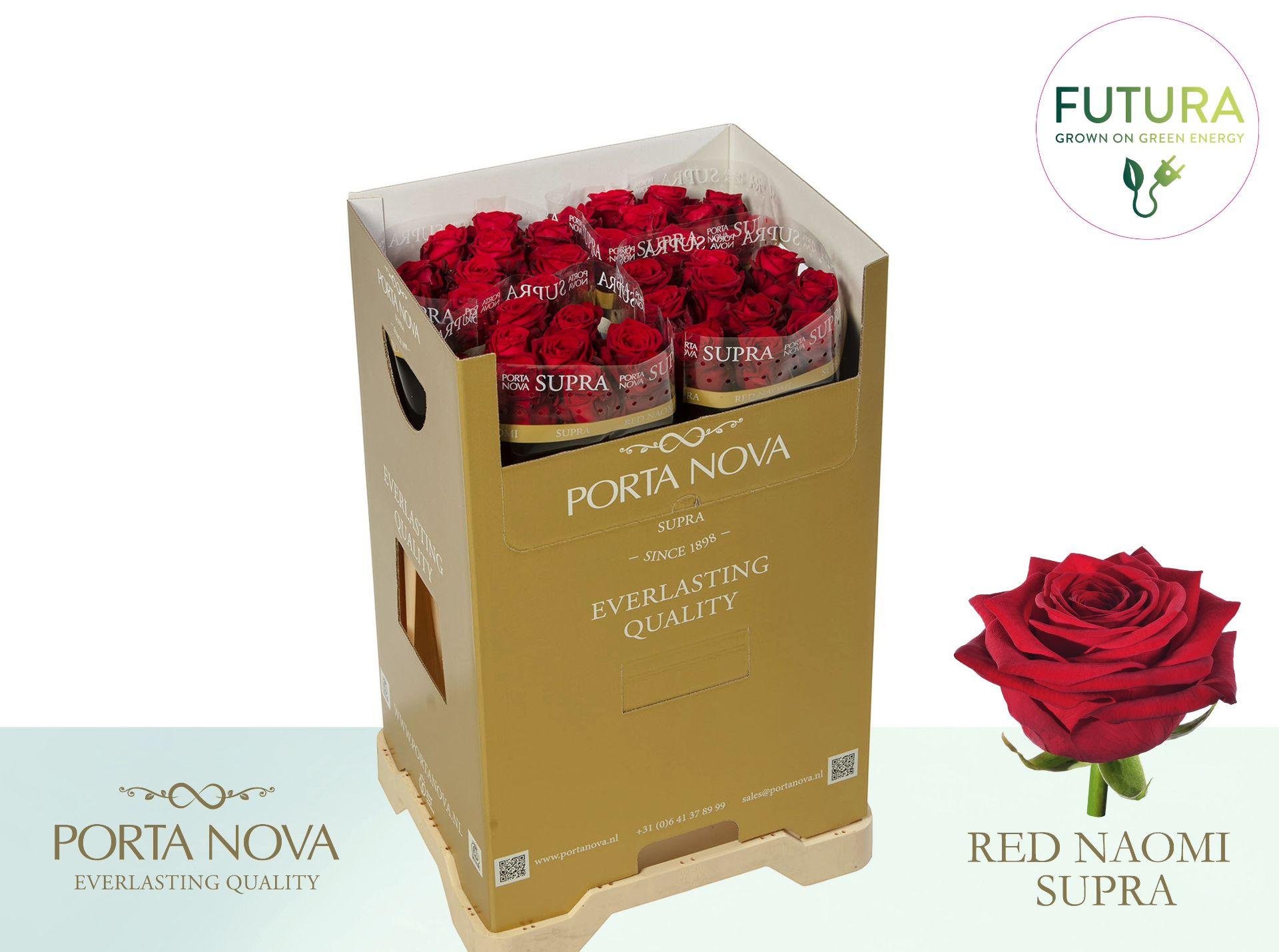 Срезанные цветы оптом Rosa large red naomi! Supra Porta Nova Futura от 40шт из Голландии с доставкой по России