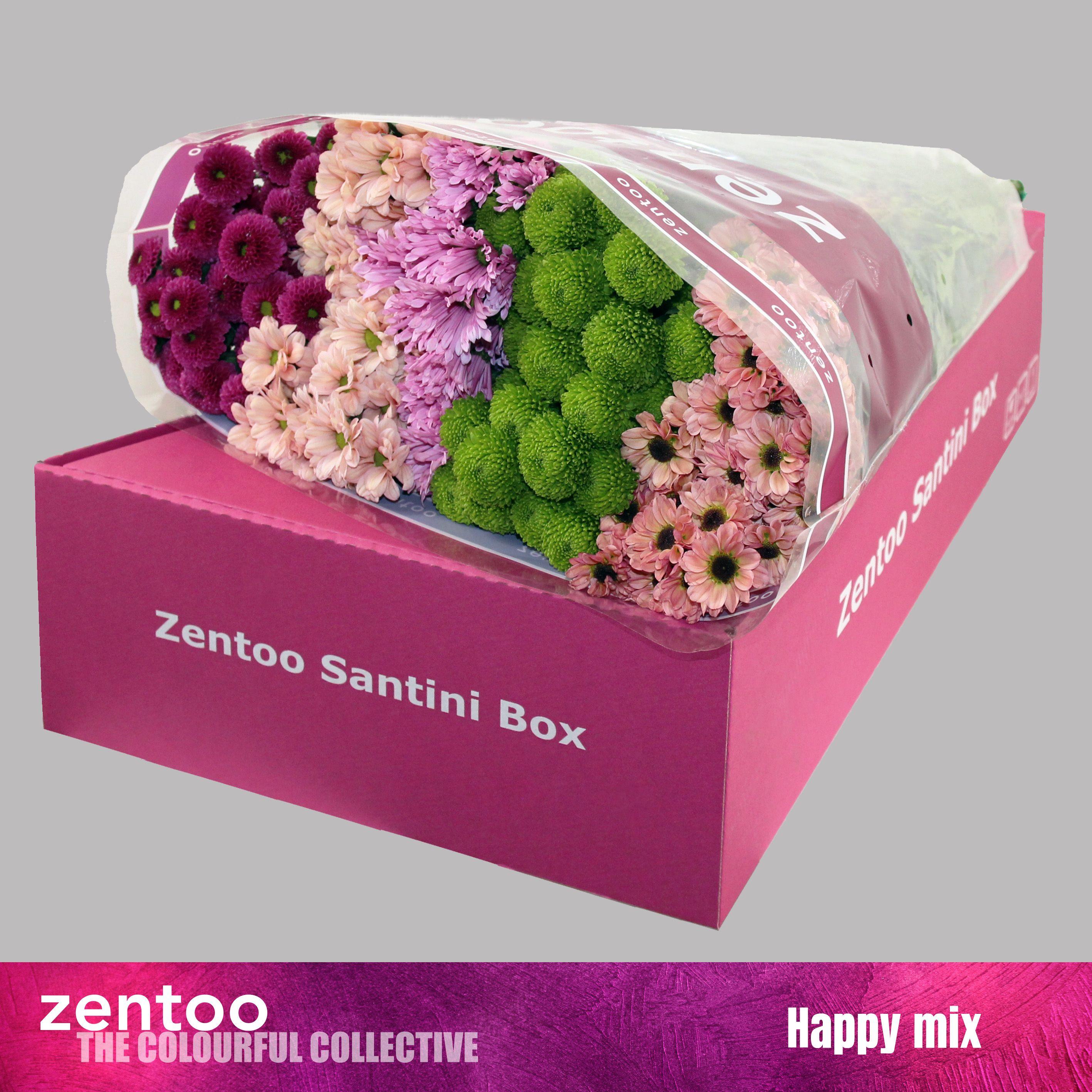 Срезанные цветы оптом Chrys sa mix happy от 25шт из Голландии с доставкой по России