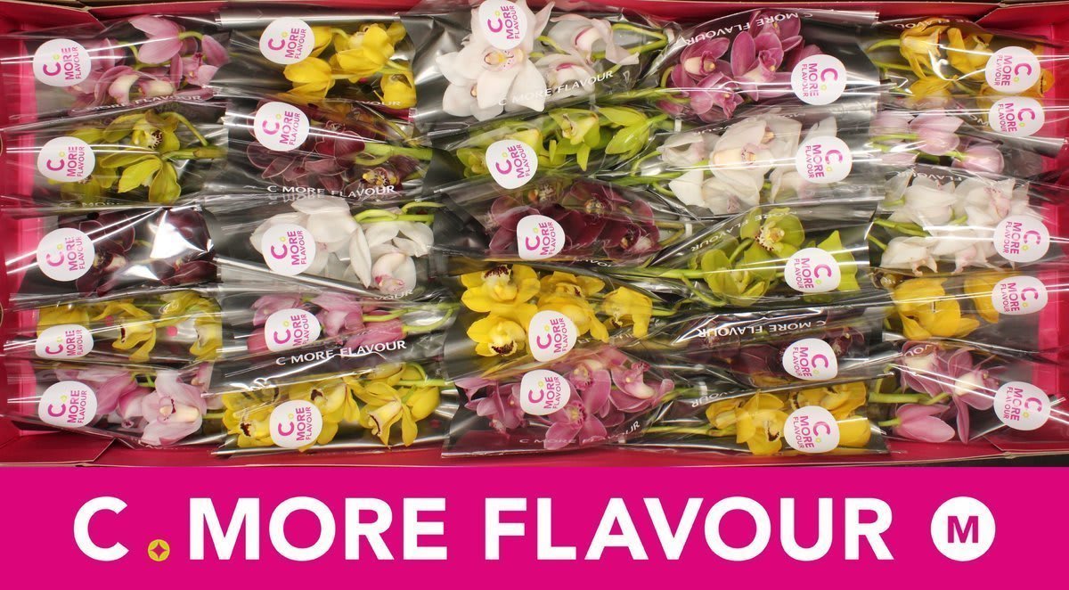 Срезанные цветы оптом Minicymbidium mix от 25шт из Голландии с доставкой по России