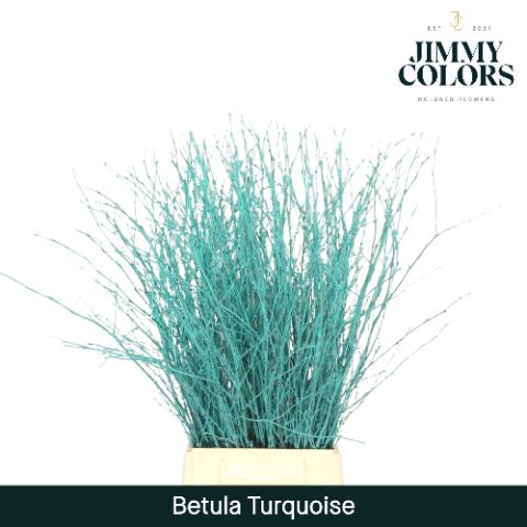 Срезанные цветы оптом Betula paint turqoise от 20шт из Голландии с доставкой по России