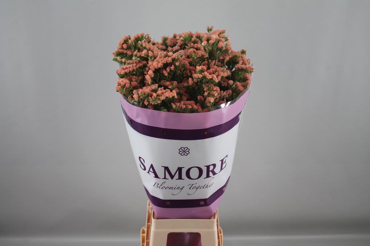 Срезанные цветы оптом Statice royal orange от 25шт из Голландии с доставкой по России