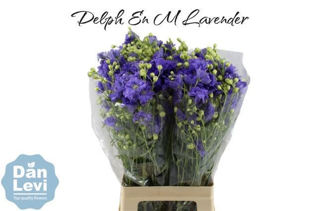 Срезанные цветы оптом Delphinium si morpho lavender от 40шт из Голландии с доставкой по России