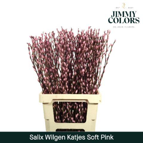 Срезанные цветы оптом Salix paint pussy willow pink metallic от 200шт из Голландии с доставкой по России