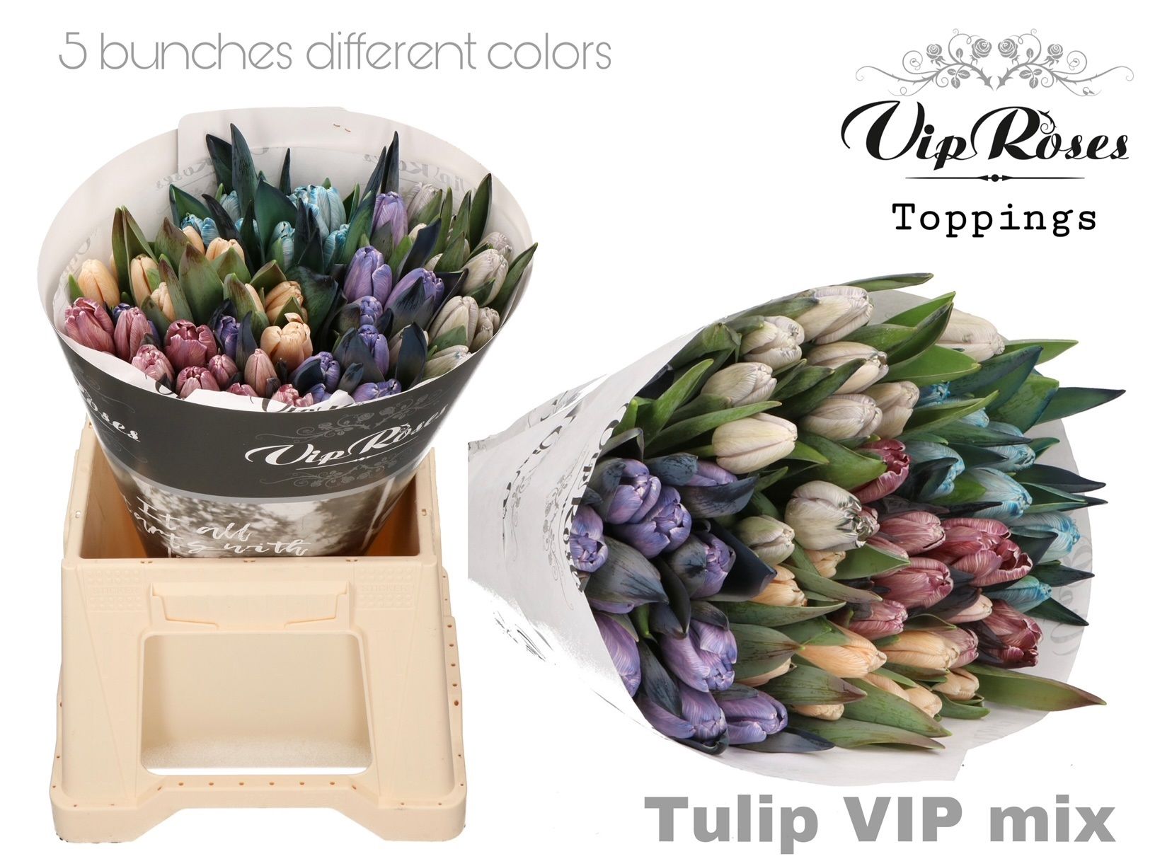 Срезанные цветы оптом Tulipa si paint mix от 50шт из Голландии с доставкой по России