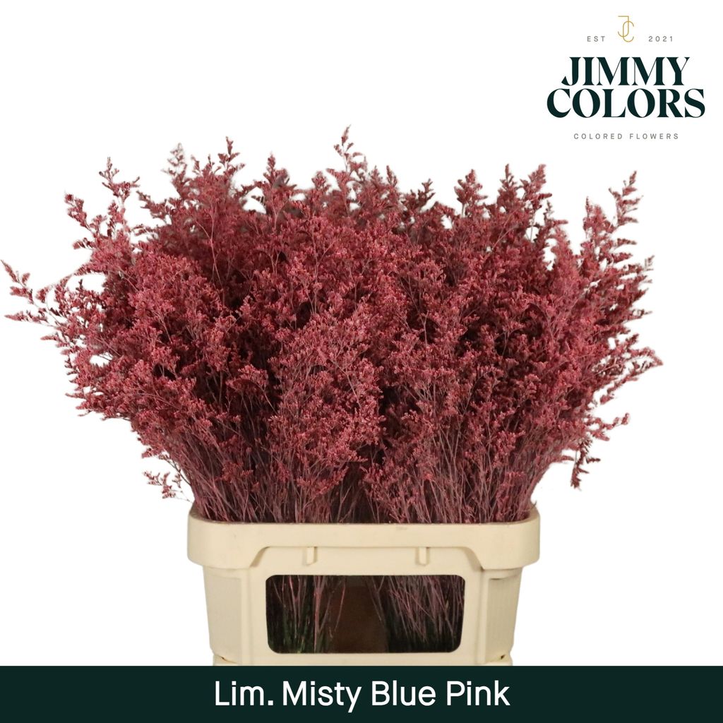 Срезанные цветы оптом Limonium misty blue paint pink от 50шт из Голландии с доставкой по России