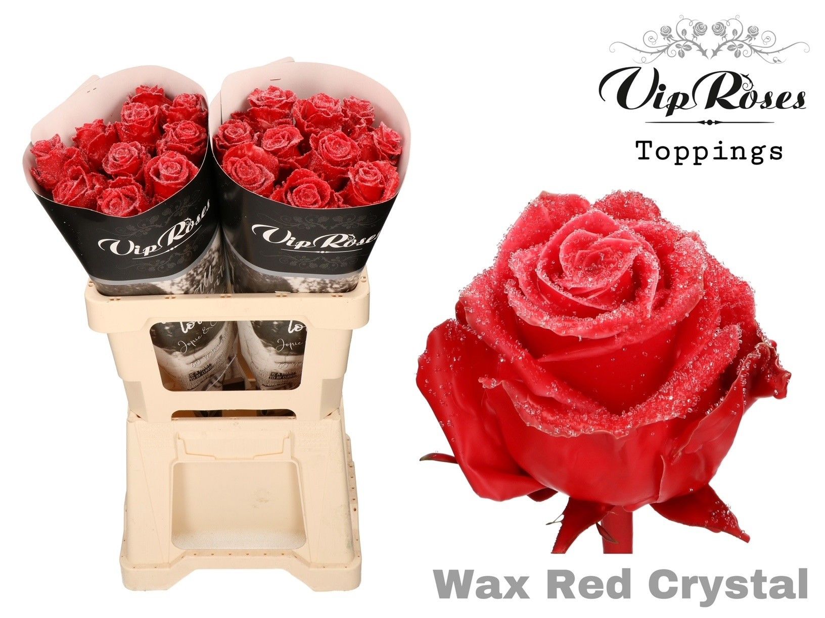 Срезанные цветы оптом Rosa la wax red crystal от 20шт из Голландии с доставкой по России