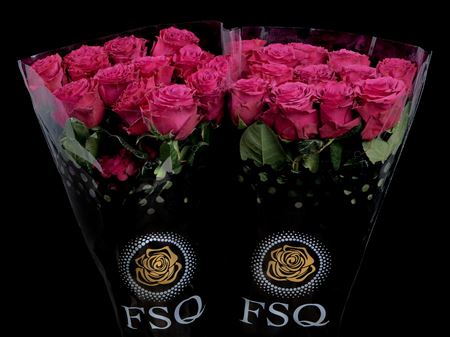 Срезанные цветы оптом Rosa ec venturoso от 20шт из Голландии с доставкой по России