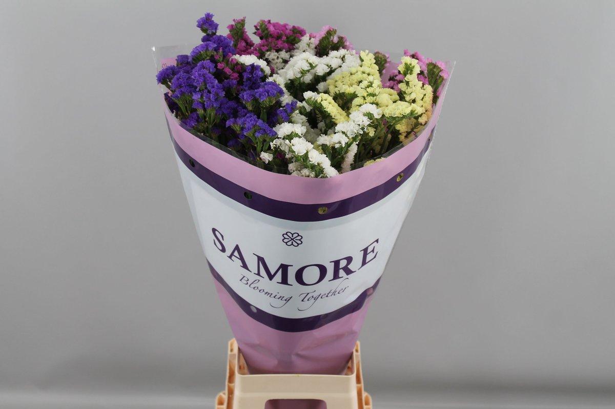 Срезанные цветы оптом Statice rainbow (mixbunch) от 25шт из Голландии с доставкой по России