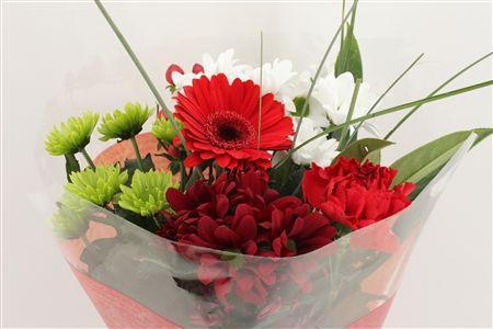 Срезанные цветы оптом Bouquet micro red от 10шт из Голландии с доставкой по России