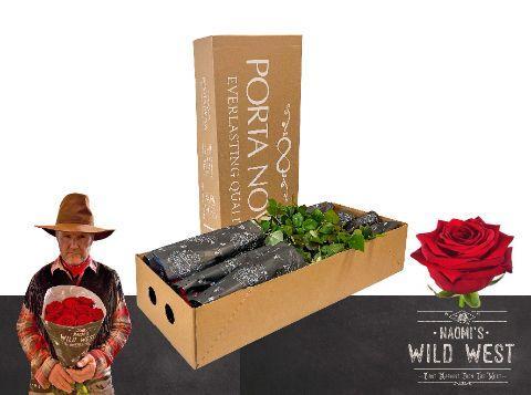Срезанные цветы оптом Rosa large red naomi! Wild West от 100шт из Голландии с доставкой по России
