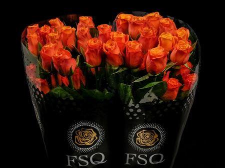 Срезанные цветы оптом Rosa ec confidential от 40шт. из Голландии с доставкой по России