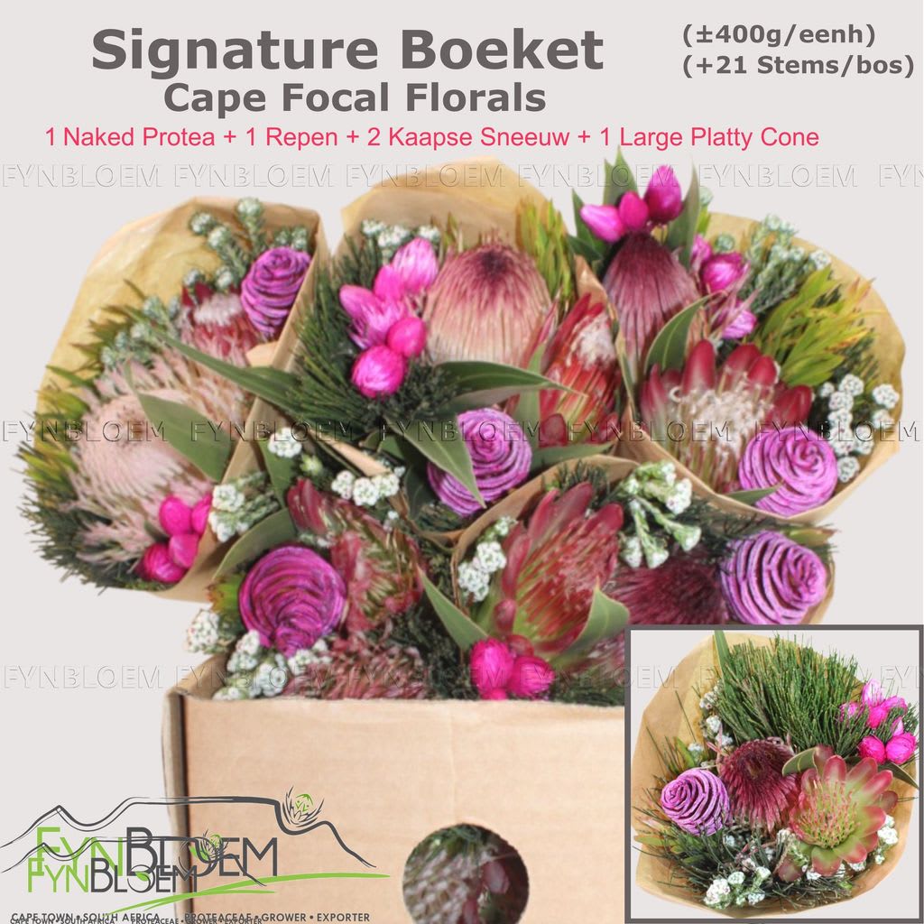 Срезанные цветы оптом Protea bq signature 1 naked protea от 8шт из Голландии с доставкой по России