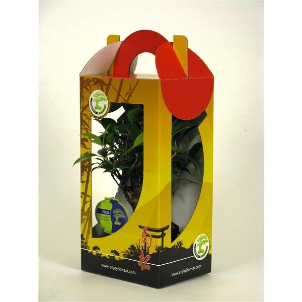 Горшечные цветы и растения оптом Bonsai Mix Wit Chinese Box от 7шт из Голландии с доставкой по России