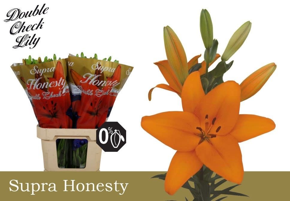 Срезанные цветы оптом Lilium la honesty от 50шт из Голландии с доставкой по России