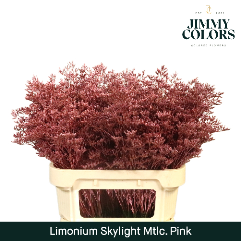 Срезанные цветы оптом Limonium paint metallic pink от 75шт из Голландии с доставкой по России