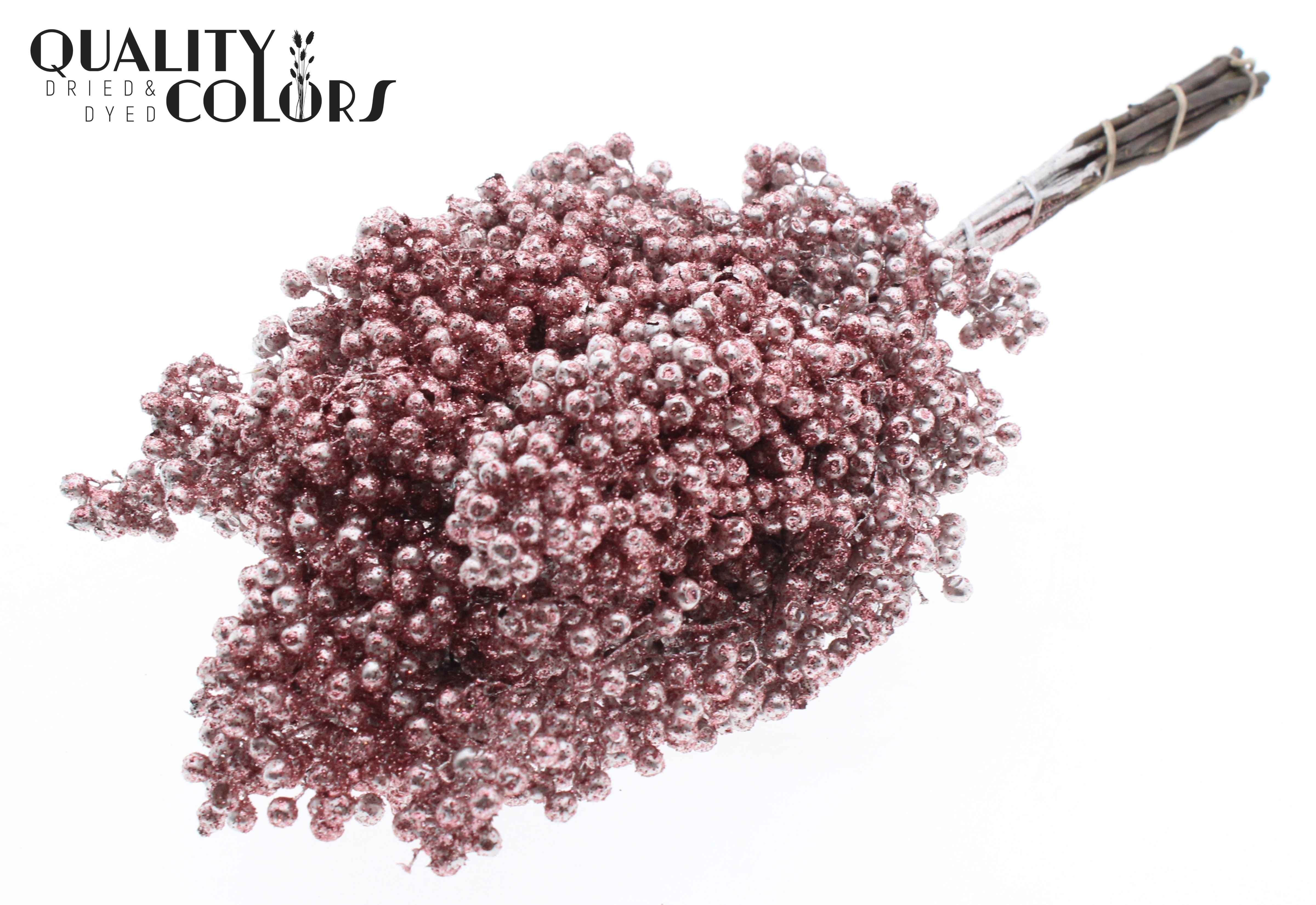 Срезанные цветы оптом Pepperberries per bunch in poly champagne + glitte от 5шт из Голландии с доставкой по России