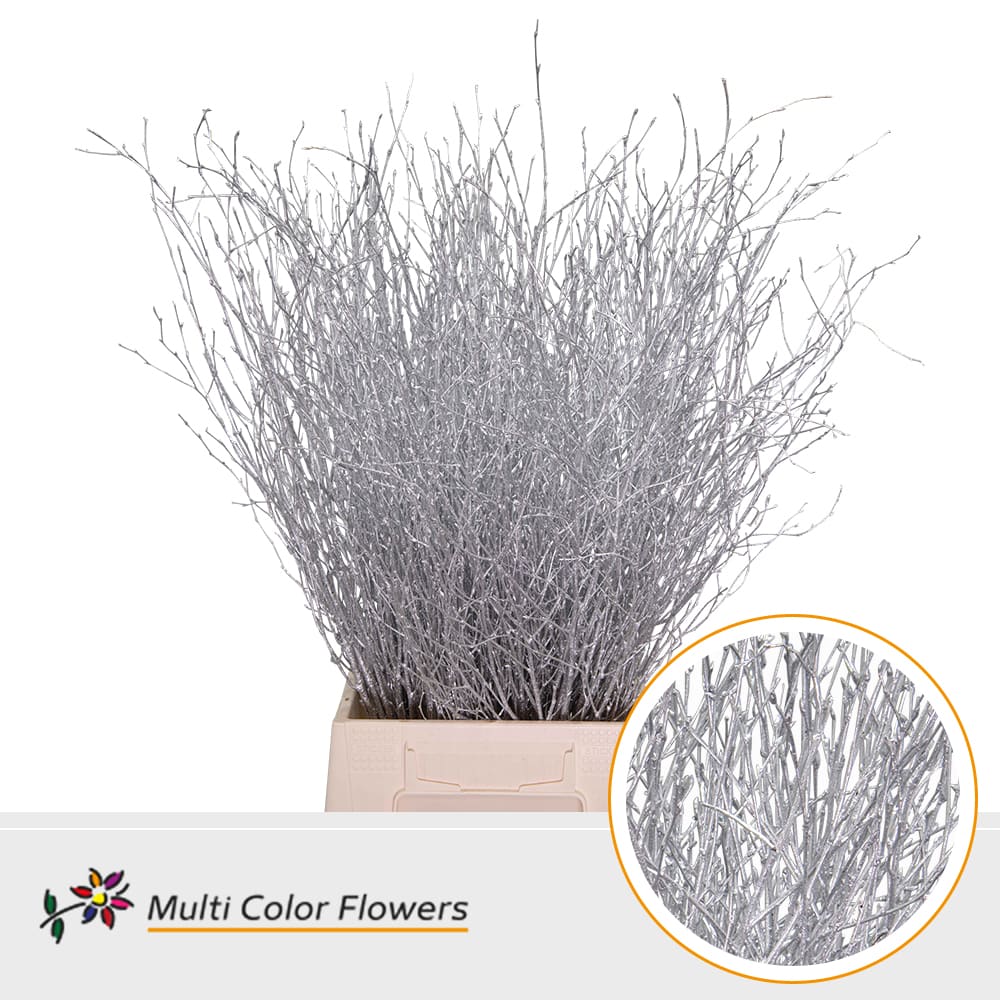Срезанные цветы оптом Betula paint silver от 100шт из Голландии с доставкой по России
