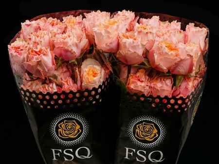 Срезанные цветы оптом Rosa la garden campanella peach от 20шт из Голландии с доставкой по России