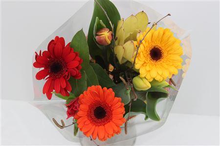 Срезанные цветы оптом Boeket Voorjaar (or Rd Gl) от 10шт из Голландии с доставкой по России