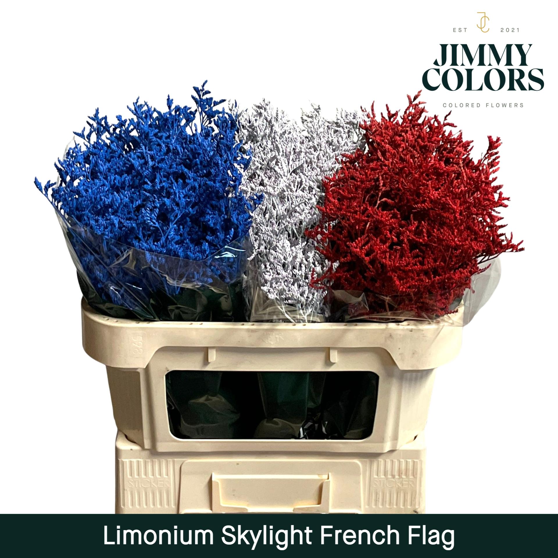 Срезанные цветы оптом Limonium skylight paint flag french от 75шт из Голландии с доставкой по России