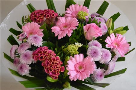 Срезанные цветы оптом Bouquet bm frosted pink от 2шт из Голландии с доставкой по России