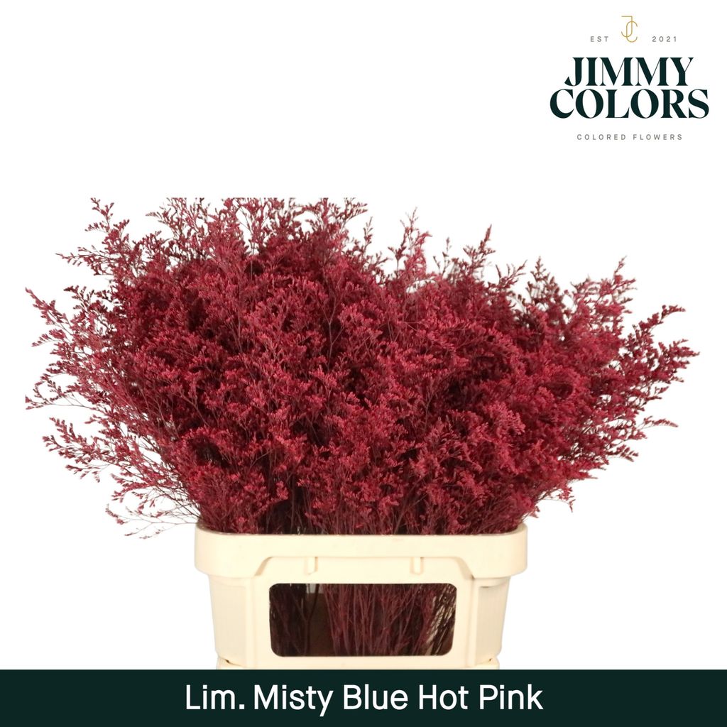 Срезанные цветы оптом Limonium misty blue paint hot pink от 50шт из Голландии с доставкой по России