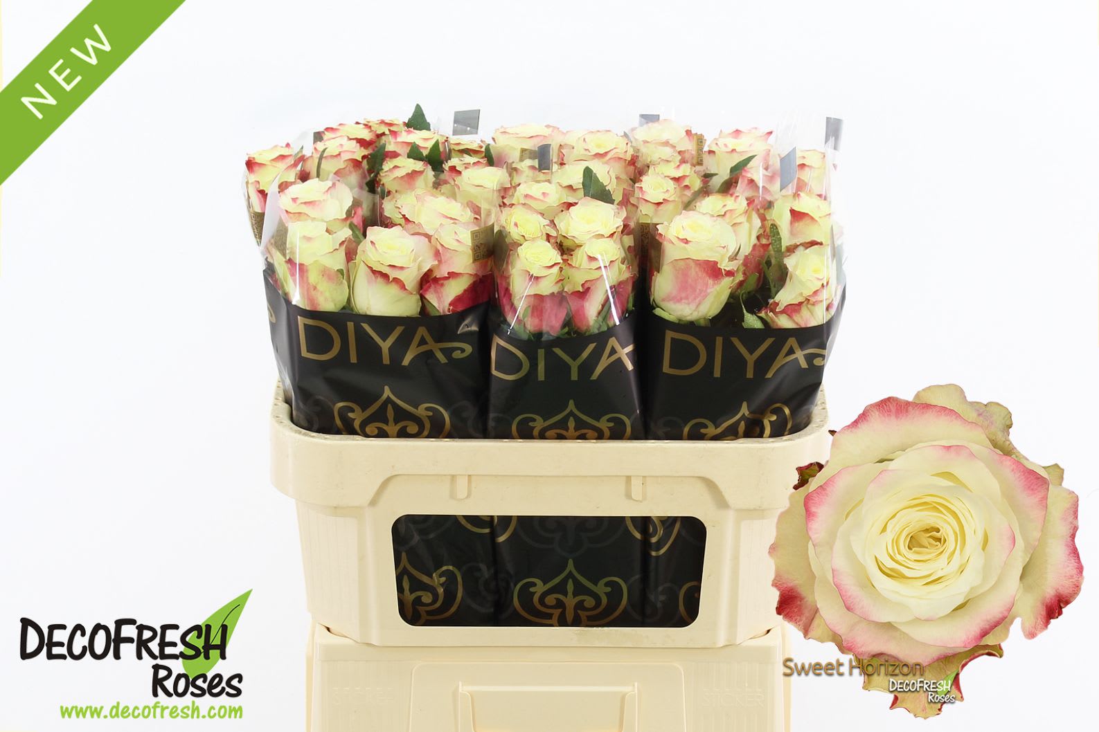 Срезанные цветы оптом Rosa large sweet horizon от 40шт из Голландии с доставкой по России