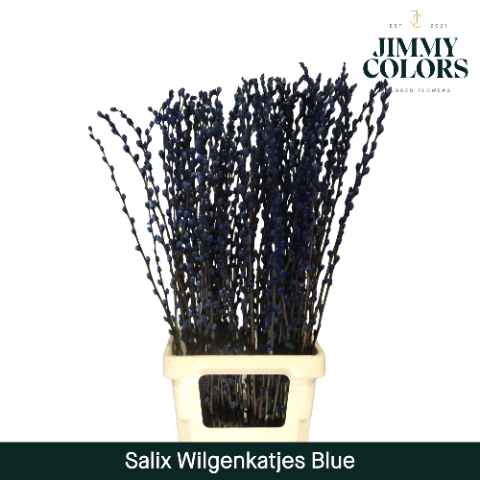 Срезанные цветы оптом Salix paint pussy willow blue от 50шт из Голландии с доставкой по России