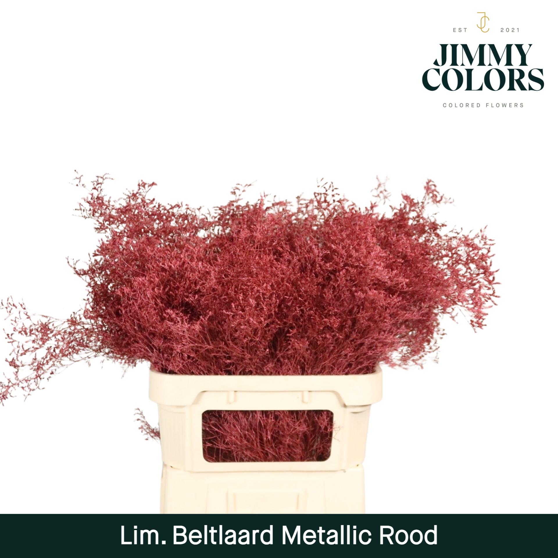 Срезанные цветы оптом Limonium beltlaard paint metallic red от 25шт из Голландии с доставкой по России