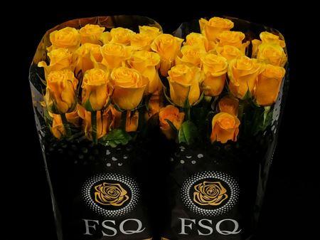 Срезанные цветы оптом Rosa ec brighton от 40шт. из Голландии с доставкой по России